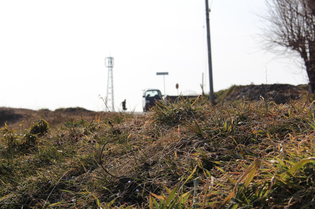 農作業を終えて…