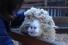 今年もよろしくね(*´∇｀*)