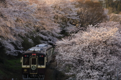 日も傾きて