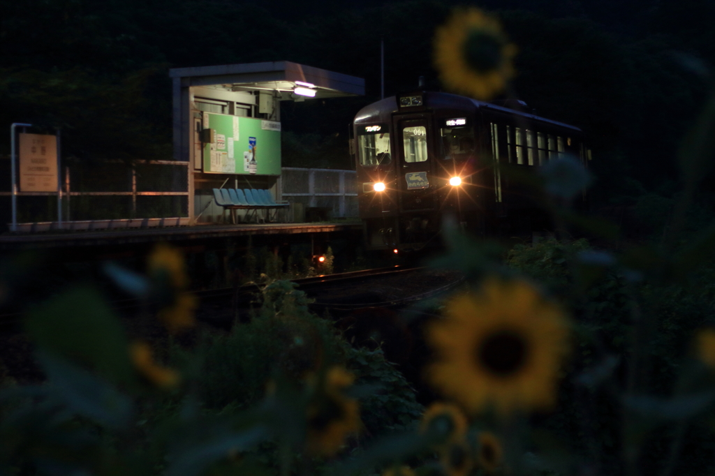 夏の夜に
