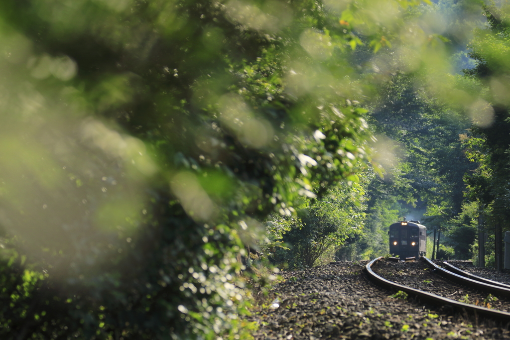 ２０１７　最後の夏の光