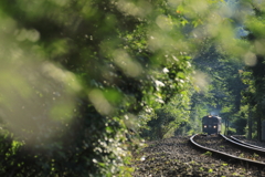 ２０１７　最後の夏の光