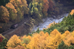 秋の渓谷鉄道　５