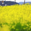 春の津軽　5