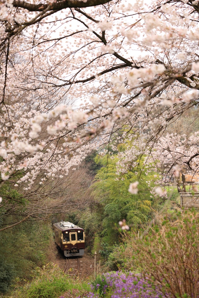花曇り