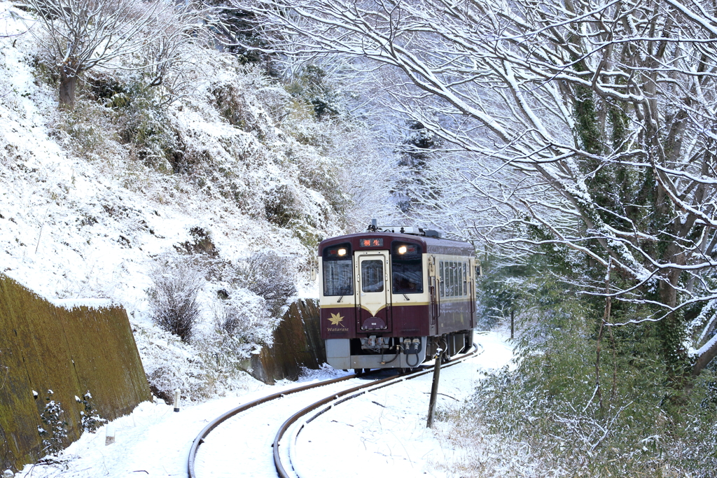 わたらせ雪景　2
