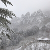 さくらの里　雪景