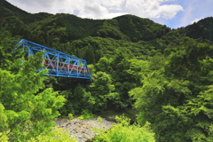 夏の思い出を乗せて