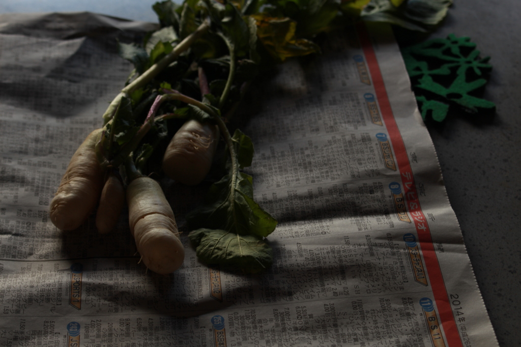 家にあったミニ大根で遊んでみました  2