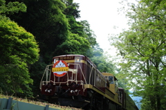 初夏のわたらせ渓谷鐵道 2