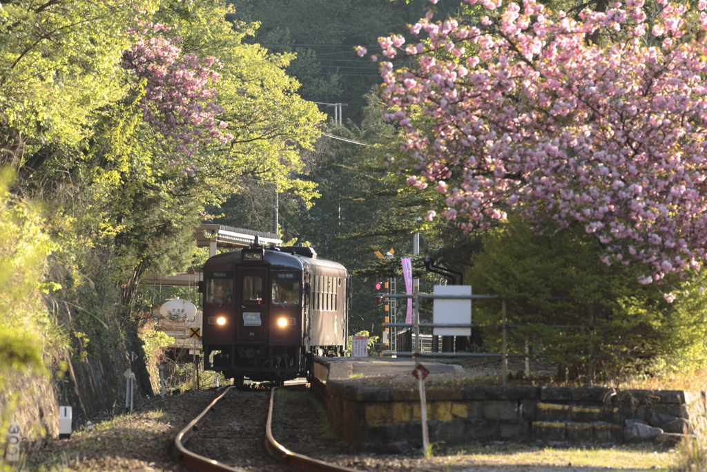 朝の通洞駅