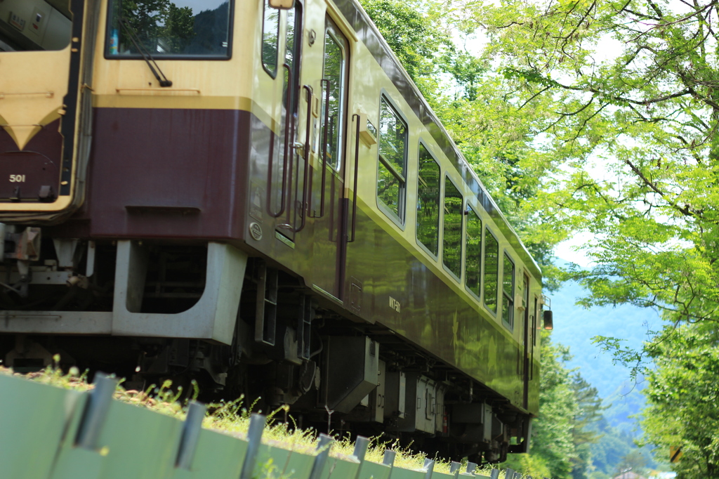 初夏のわたらせ渓谷鐵道 3