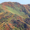 秋の白毛門から朝日岳の縦走路　８