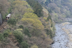 新緑のパッチワーク