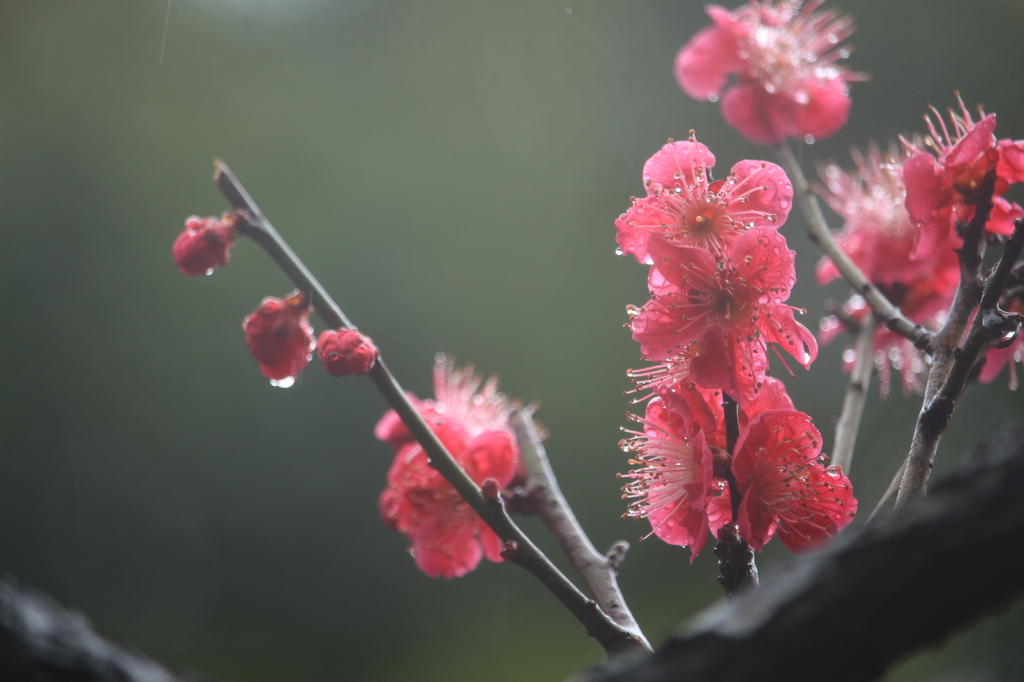 小雨ぱらつき… 3