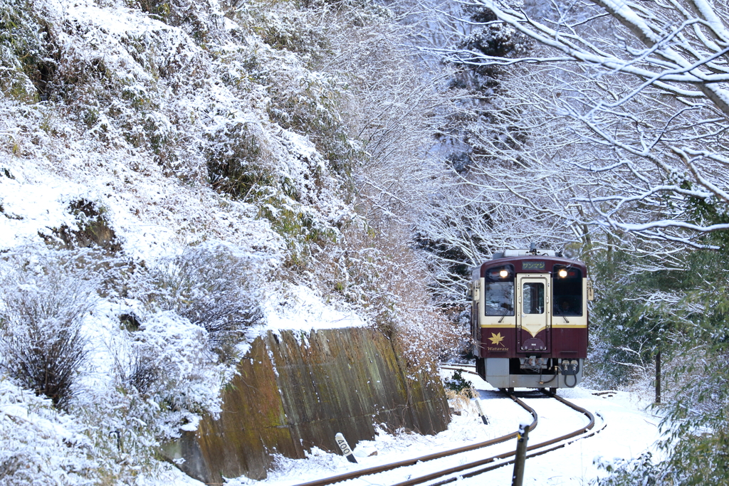 わたらせ雪景