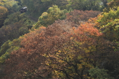 朱の光