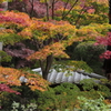 崇禅寺の紅葉