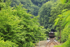 深緑にむせぶ