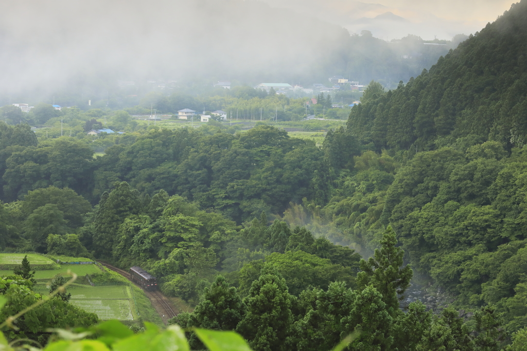 雨上がりて