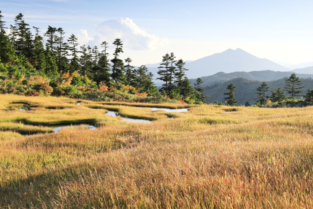 西日を浴びる草紅葉と燧ヶ岳