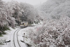 関東も大雪の日