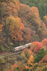 秋の渓谷鉄道　11