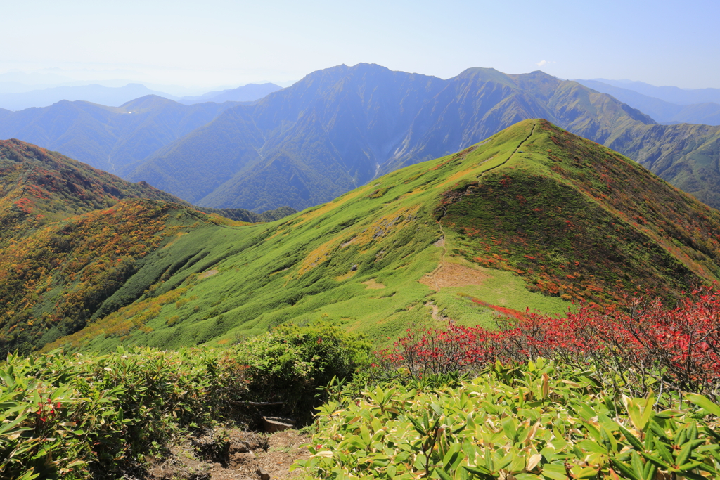 秋の白毛門から朝日岳の縦走路　６