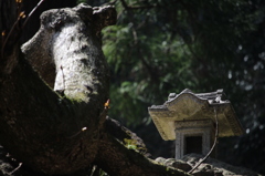 神社の中の神社