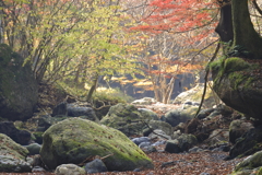 秋の桐生川源流　４