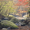 秋の桐生川源流　４