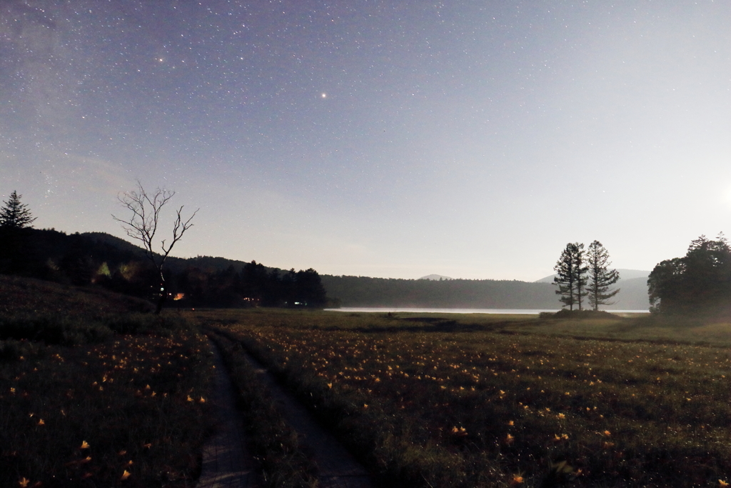 大江湿原の夜 2