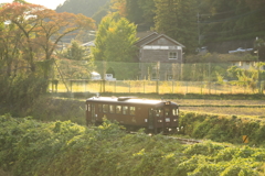 やさしい時間