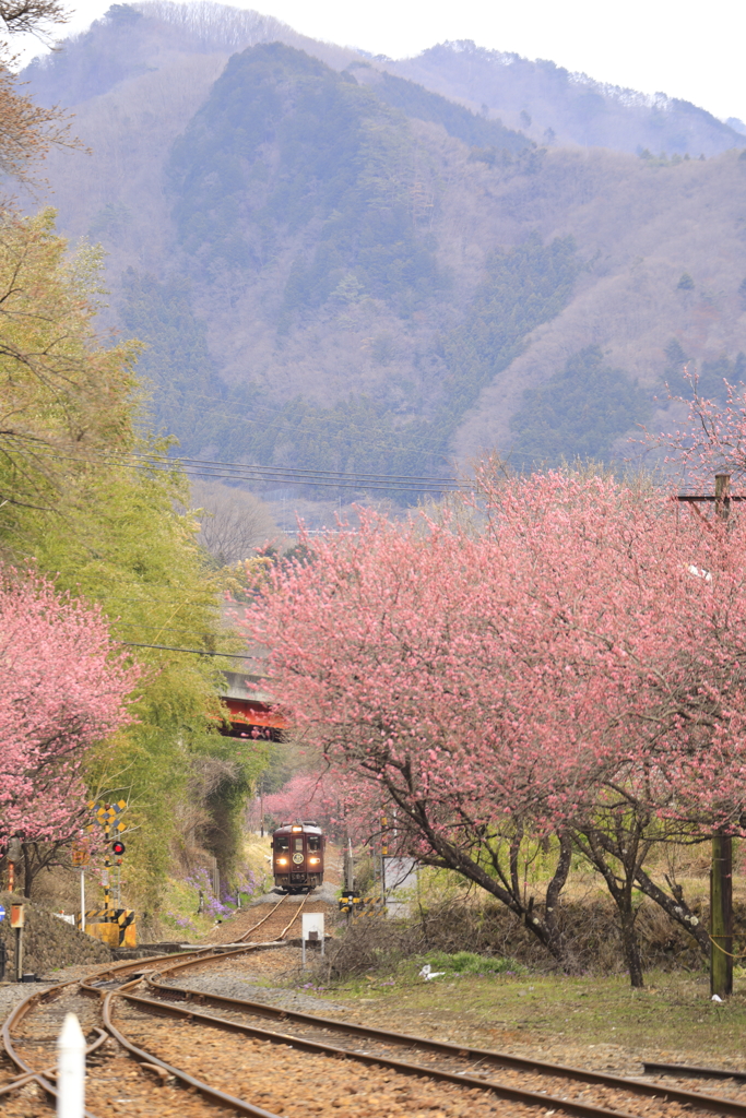 ある山里風景