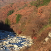 日 短し