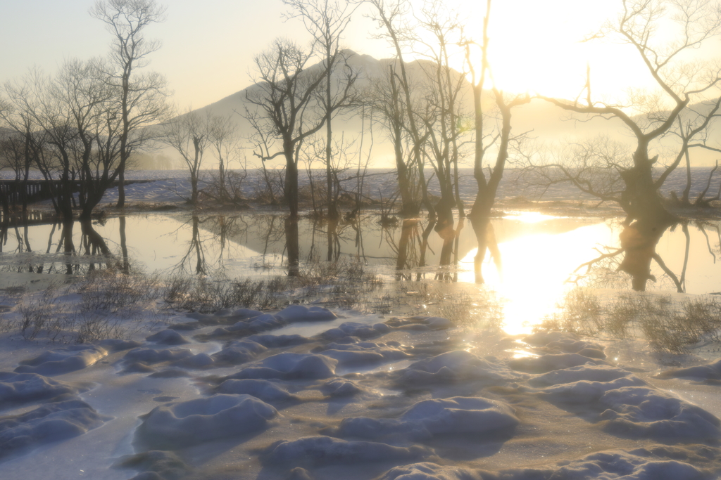 水面に輝きて