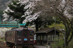 沢入駅 春の風景