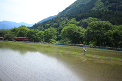 初夏のわたらせ渓谷鐵道