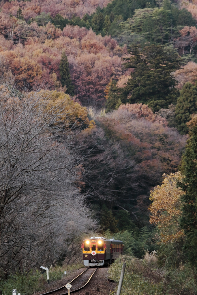 晩秋のワッシー号