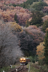 晩秋のワッシー号