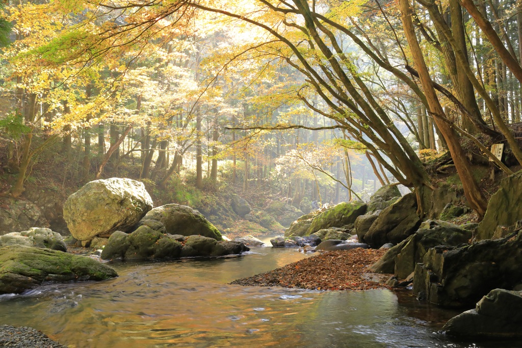 秋の桐生川源流　９