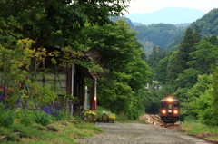 6月の神梅