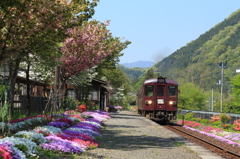 花の神梅