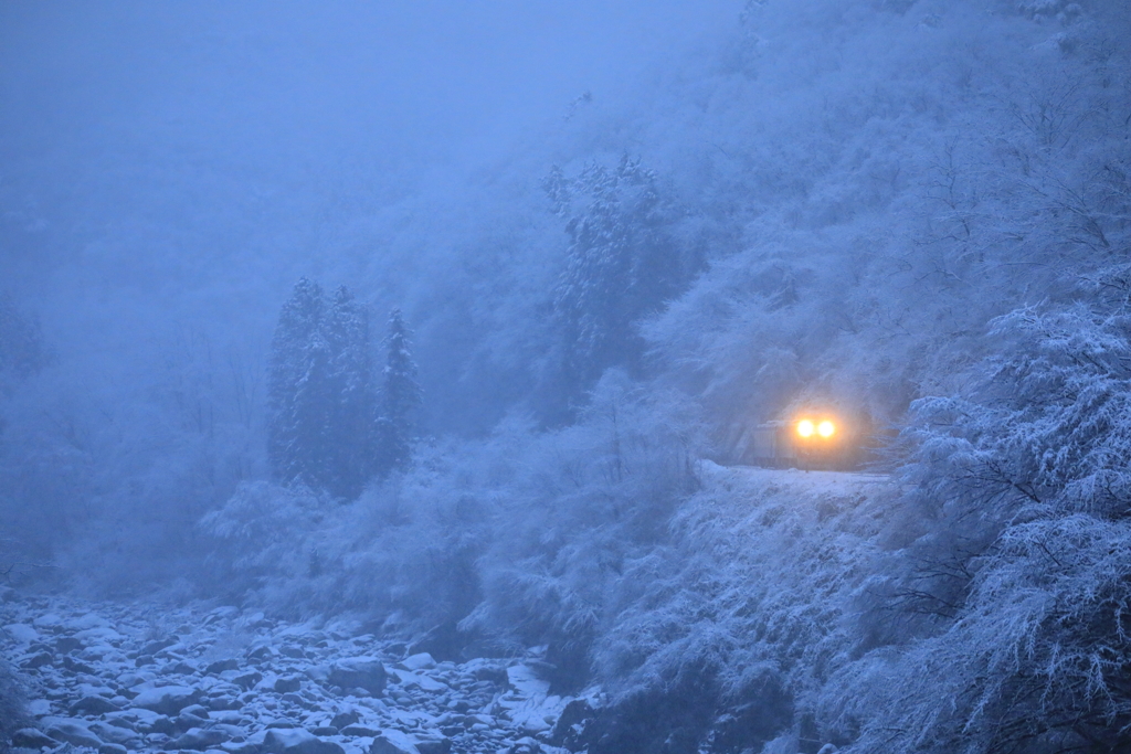 雪の日はワンコロのように