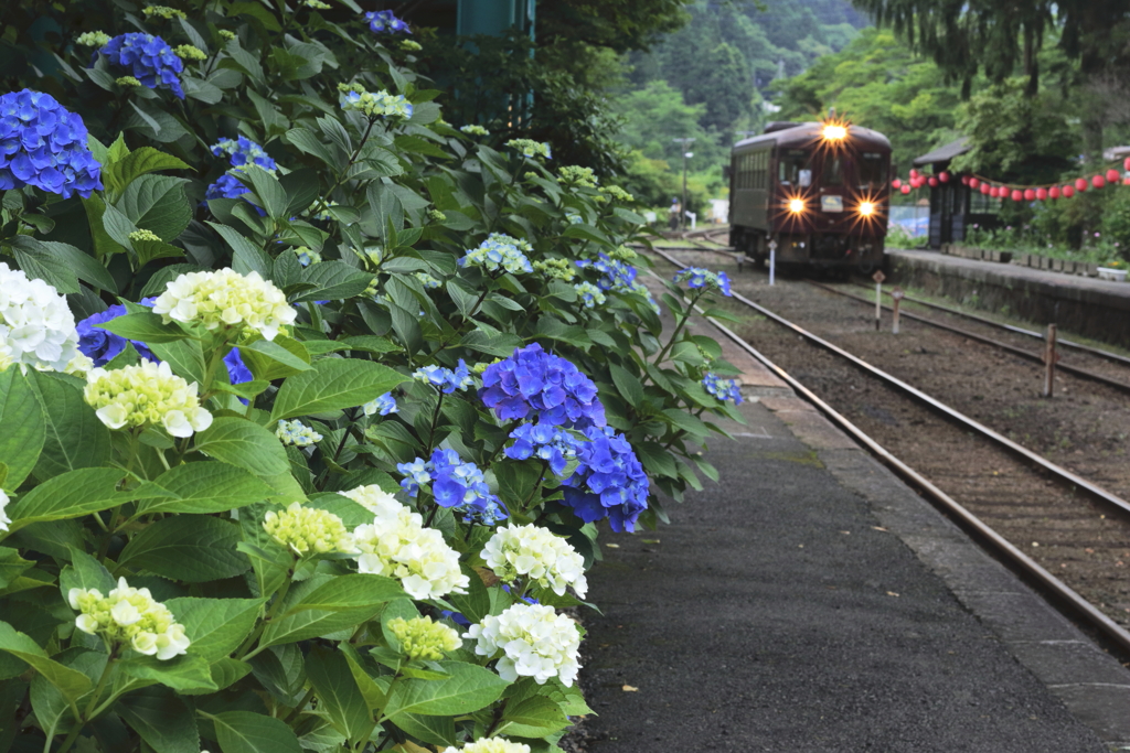 沢入駅にて