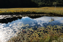 よく晴れた朝の日に