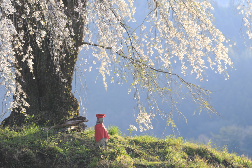 花守地蔵　朝をむかえる