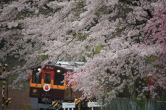 わっしー  沢入駅に到着する