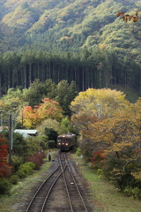 粧う山里の駅