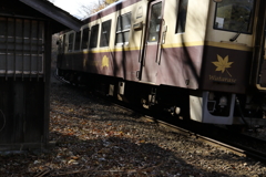 山あいの光